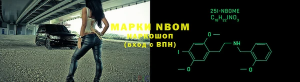 гашик Осташков