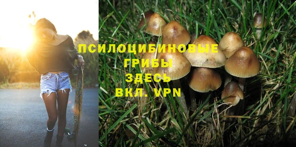 мет Осинники