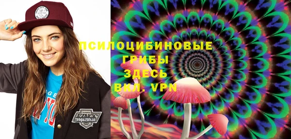 гашик Осташков