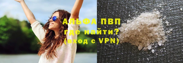 гашик Осташков