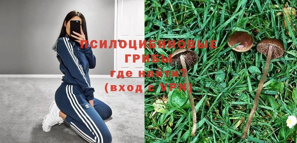 ГАЛЛЮЦИНОГЕННЫЕ ГРИБЫ Остров