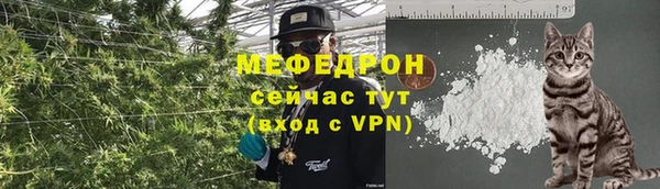 гашик Осташков