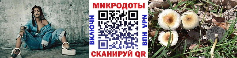 Галлюциногенные грибы прущие грибы  Пролетарск 
