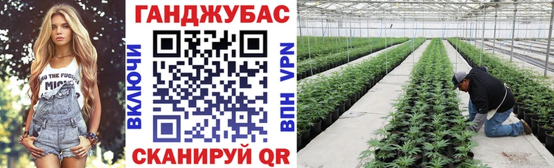 Шишки марихуана White Widow Пролетарск