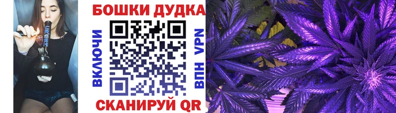 наркота  Пролетарск  Бошки марихуана гибрид 